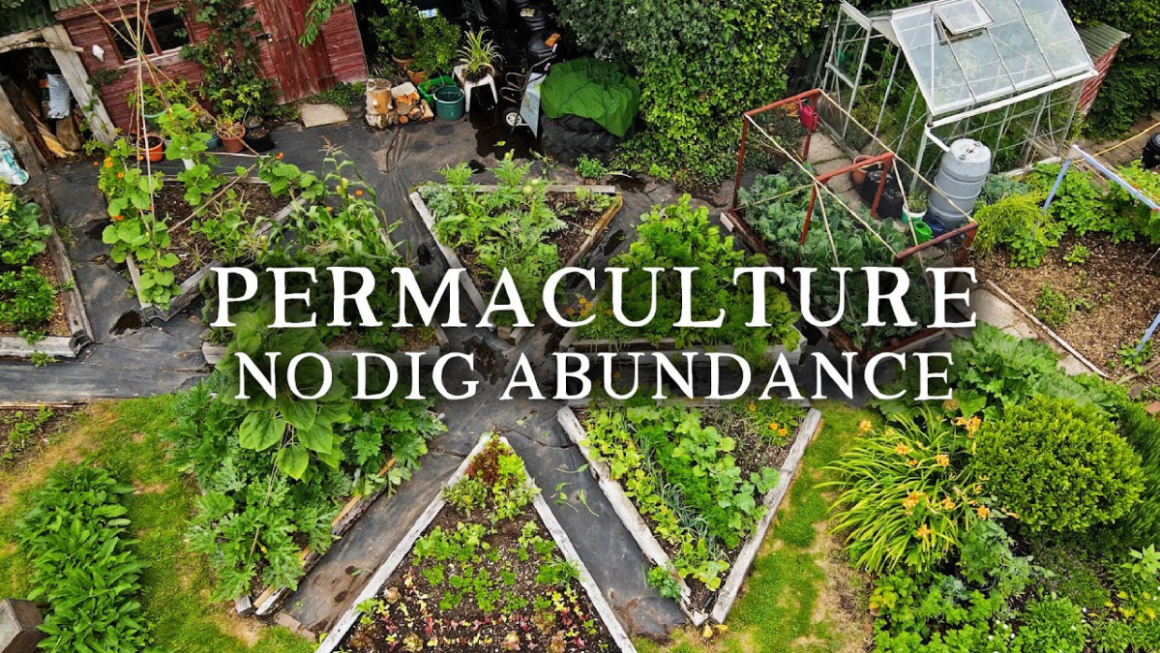 Creating a Thriving Permaculture Garden: Your Guide to Sustainable Living